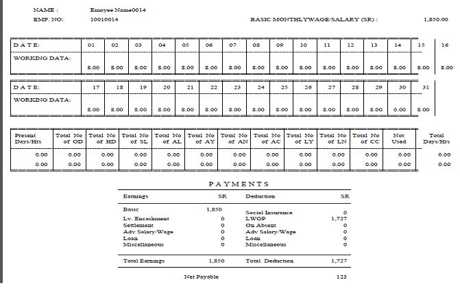 Pay Slip